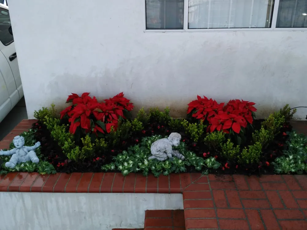 Affordable landscape design for beautiful yards in Carson, CA by Catalina's Landscaping