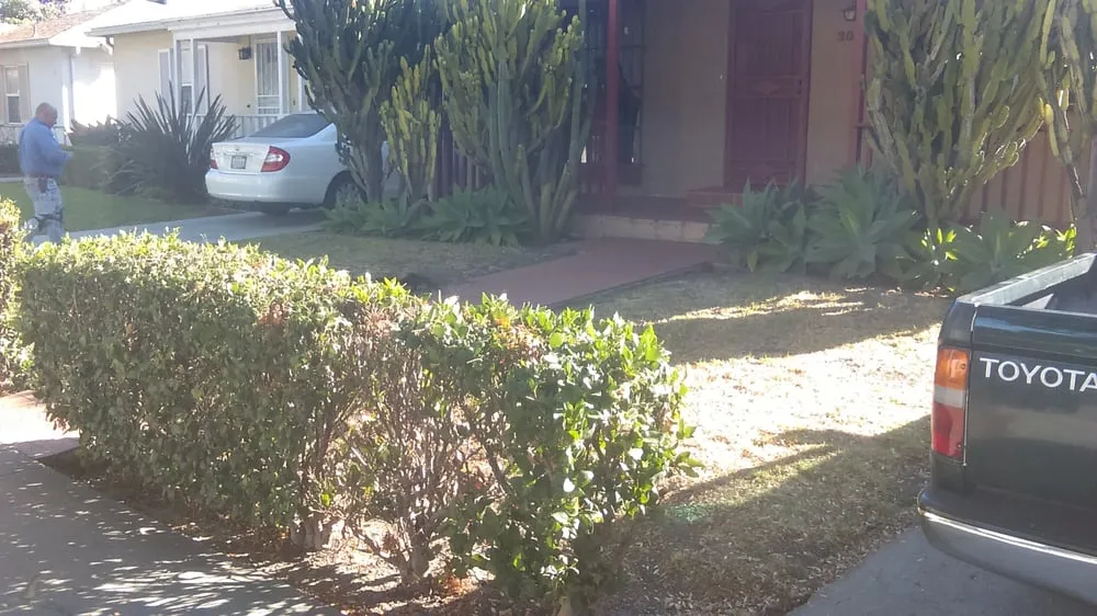 Reliable landscaping services experts serving Carson, CA - Catalina's Landscaping