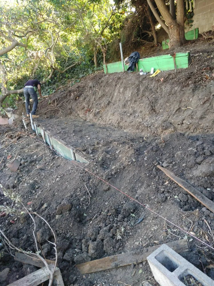 Affordable landscaping services in Carson, CA by Catalina's Landscaping