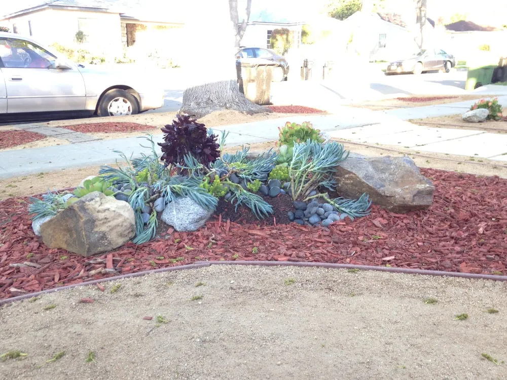 Professional lawn mowing service in Carson, CA - Catalina's Landscaping