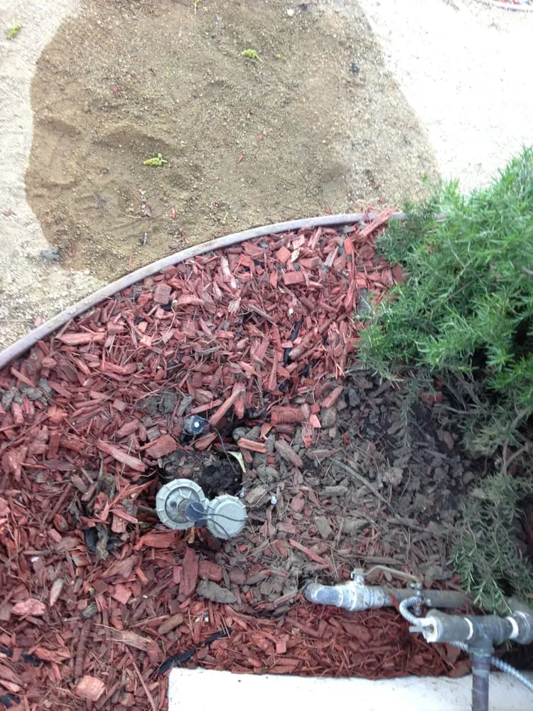 Custom lawn care service near you across Carson, CA - Catalina's Landscaping