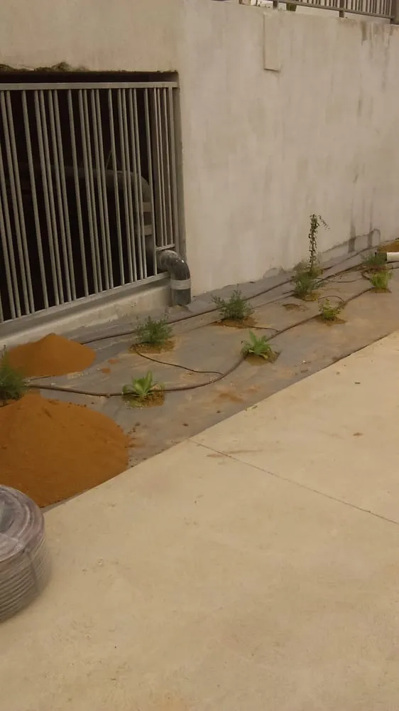 Top-rated landscape installation experts serving Carson, CA - Catalina's Landscaping