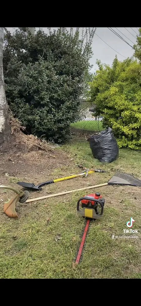 Expert landscaping services in Fairfield, CT - Catalonia Property Services