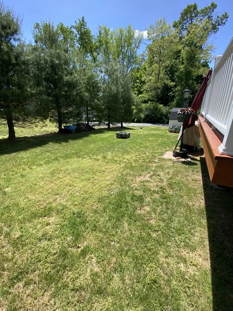 Local yard cleanup service experts serving Fairfield, CT - Catalonia Property Services