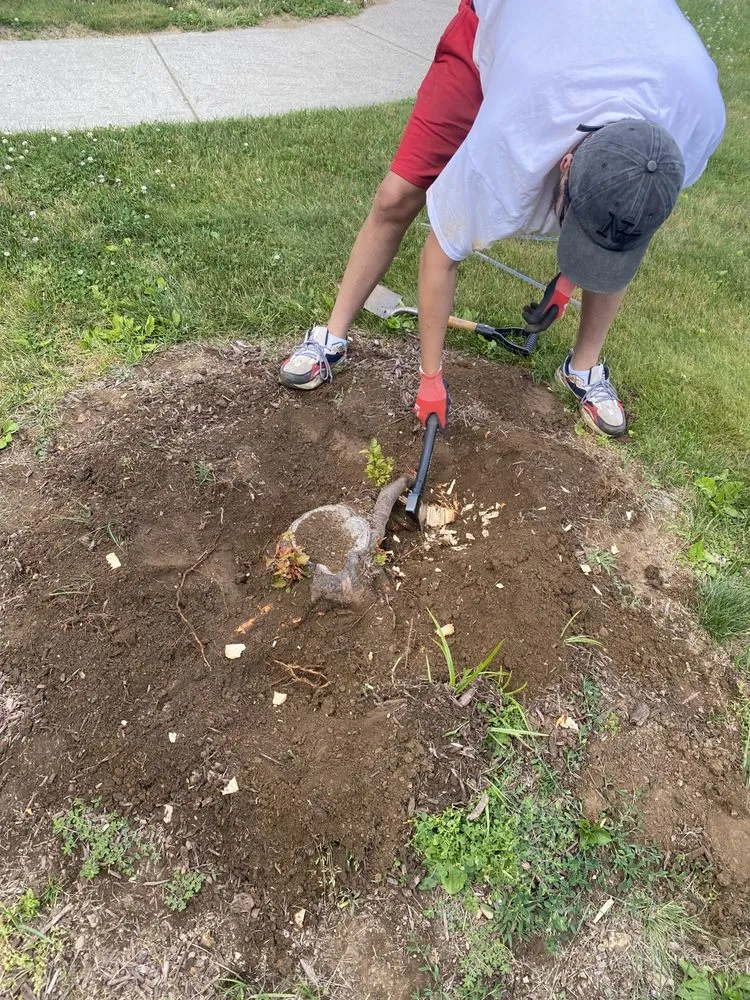 Affordable landscape installation experts serving Fairfield, CT - Catalonia Property Services