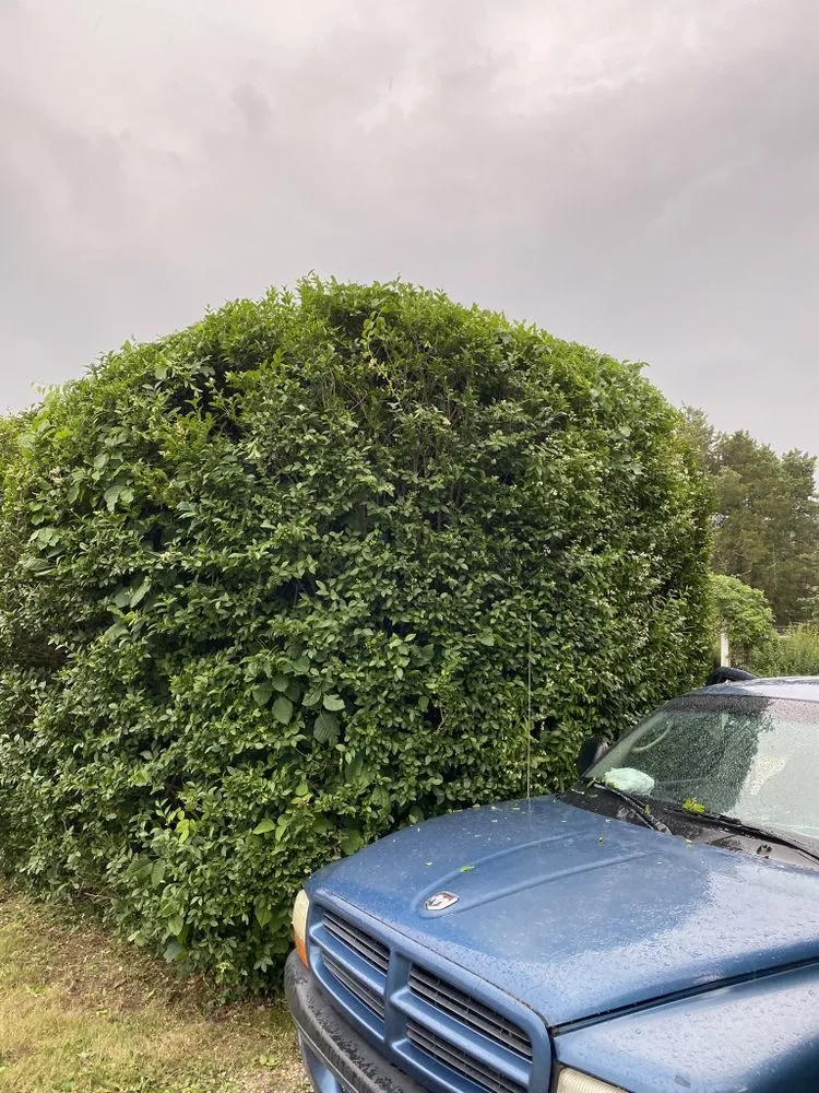 Professional outdoor landscaping for residential properties across Fairfield, CT - Catalonia Property Services