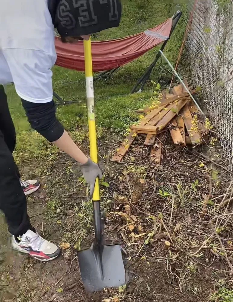 Top-rated lawn mowing service with custom design across Fairfield, CT - Catalonia Property Services