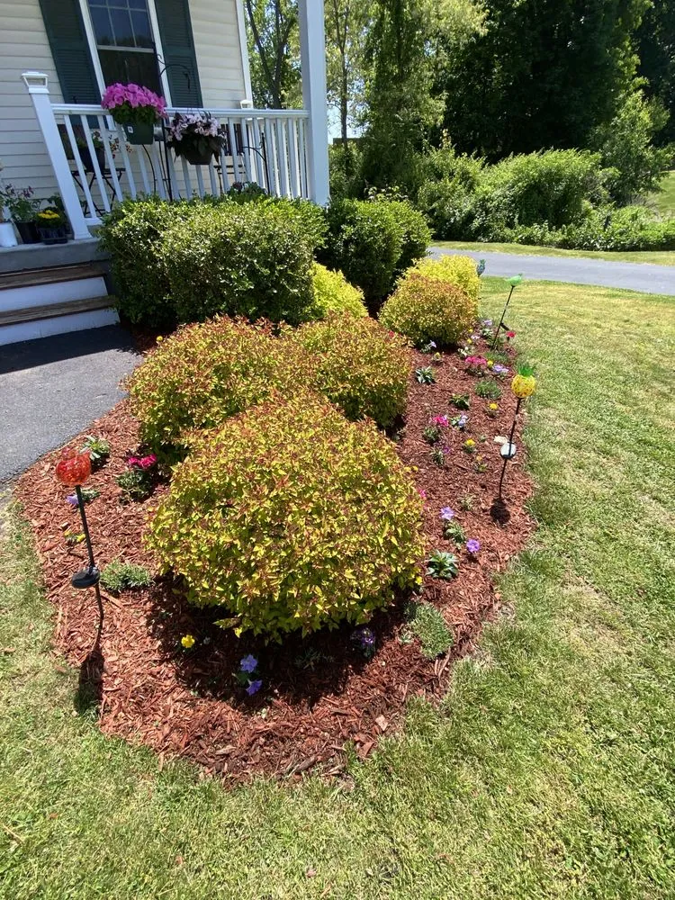 Trusted yard maintenance for homes across Fairfield, CT - Catalonia Property Services