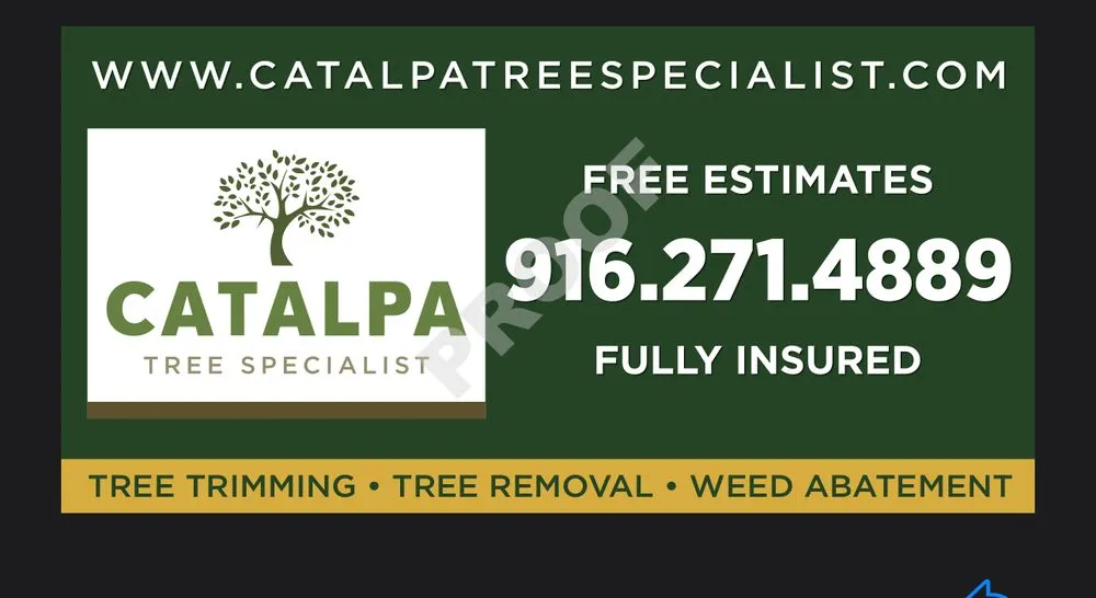 Local residential landscaping in Yuba City, CA by Catalpa Tree Specialist