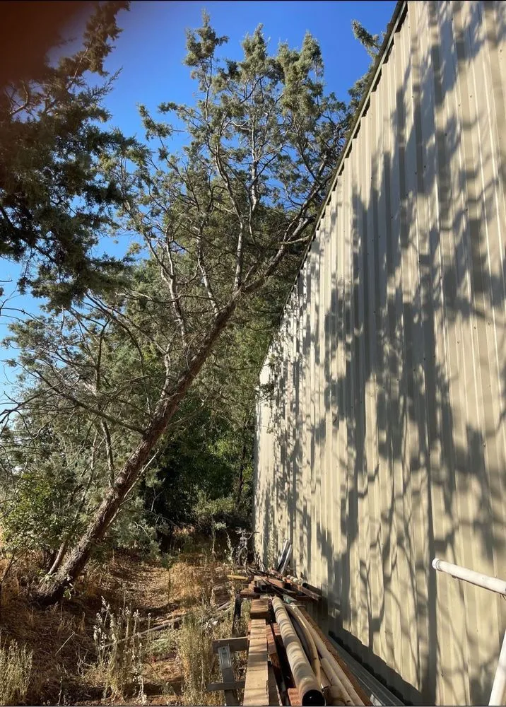 Affordable residential landscaping for outdoor upgrades in Yuba City, CA by Catalpa Tree Specialist