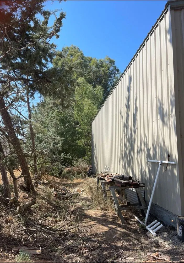 Custom yard cleanup service in Yuba City, CA by Catalpa Tree Specialist