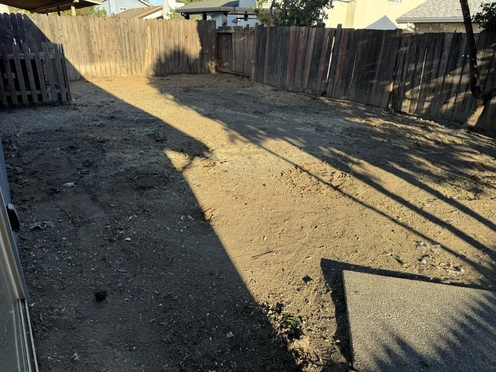 Affordable yard maintenance with custom design in Yuba City, CA by Catalpa Tree Specialist