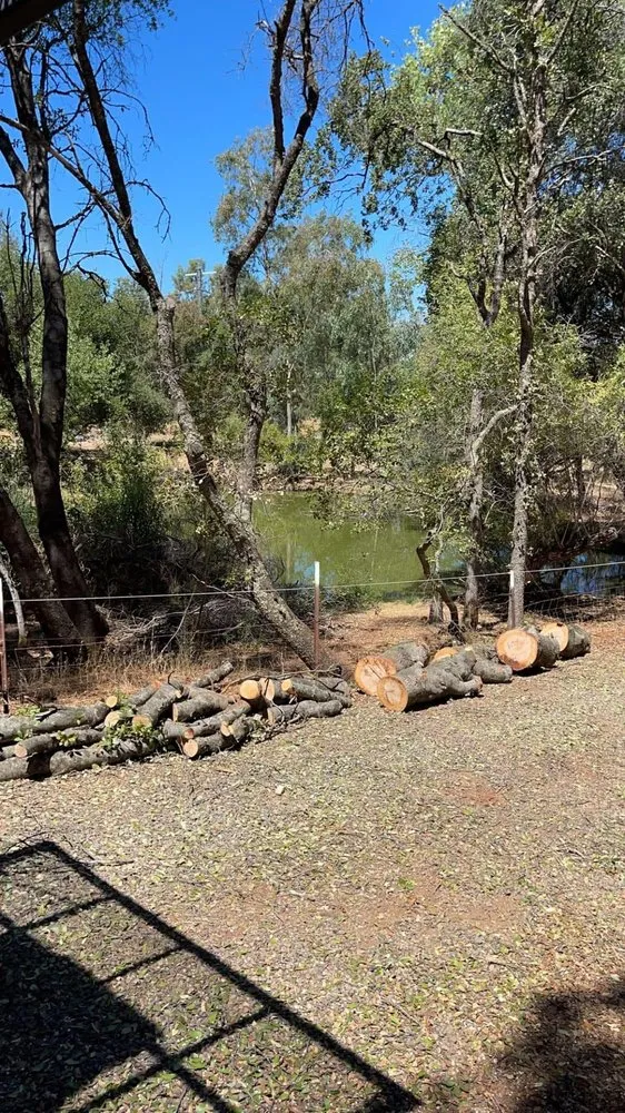 Trusted landscape design in Yuba City, CA - Catalpa Tree Specialist