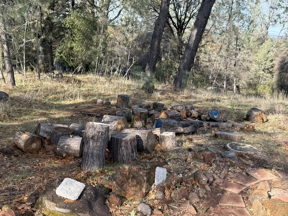 Local landscape design for outdoor upgrades in Yuba City, CA by Catalpa Tree Specialist