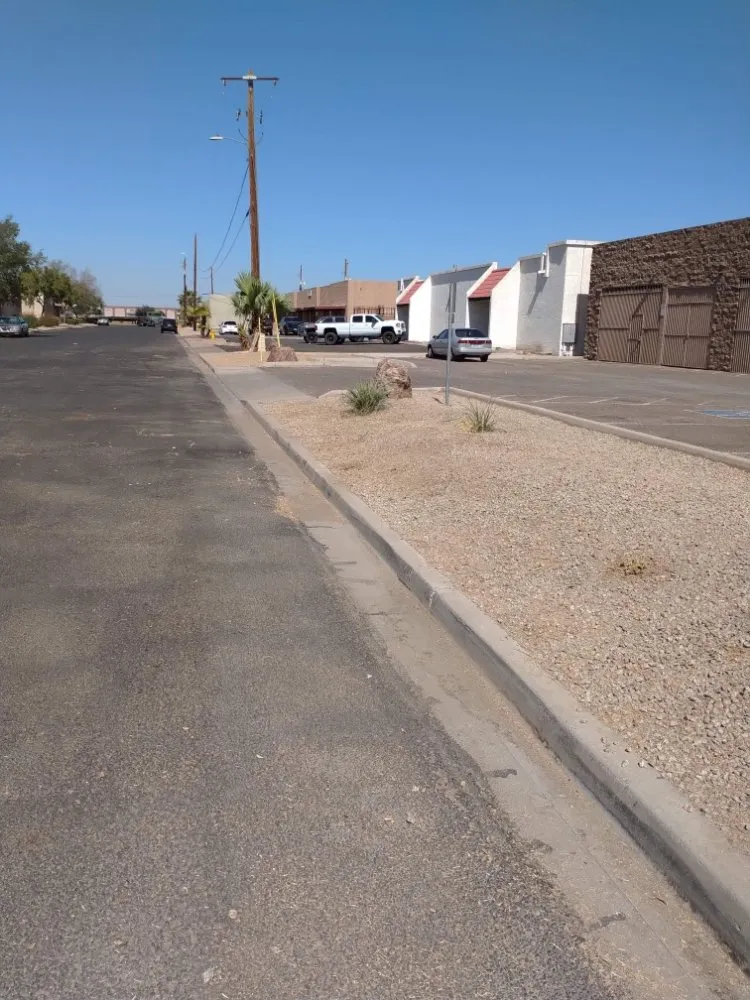 Expert outdoor landscaping for beautiful yards in Mesa, AZ by Catalyna & Lily Landscapes