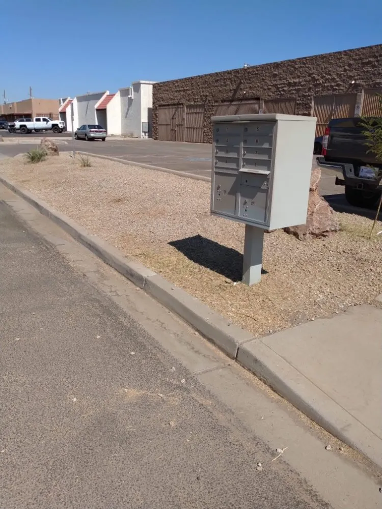 Local yard maintenance with custom design across Mesa, AZ - Catalyna & Lily Landscapes