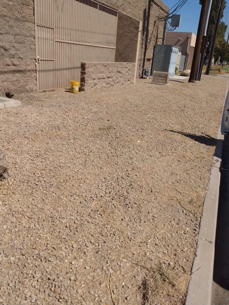 Expert residential landscaping experts serving Mesa, AZ - Catalyna & Lily Landscapes