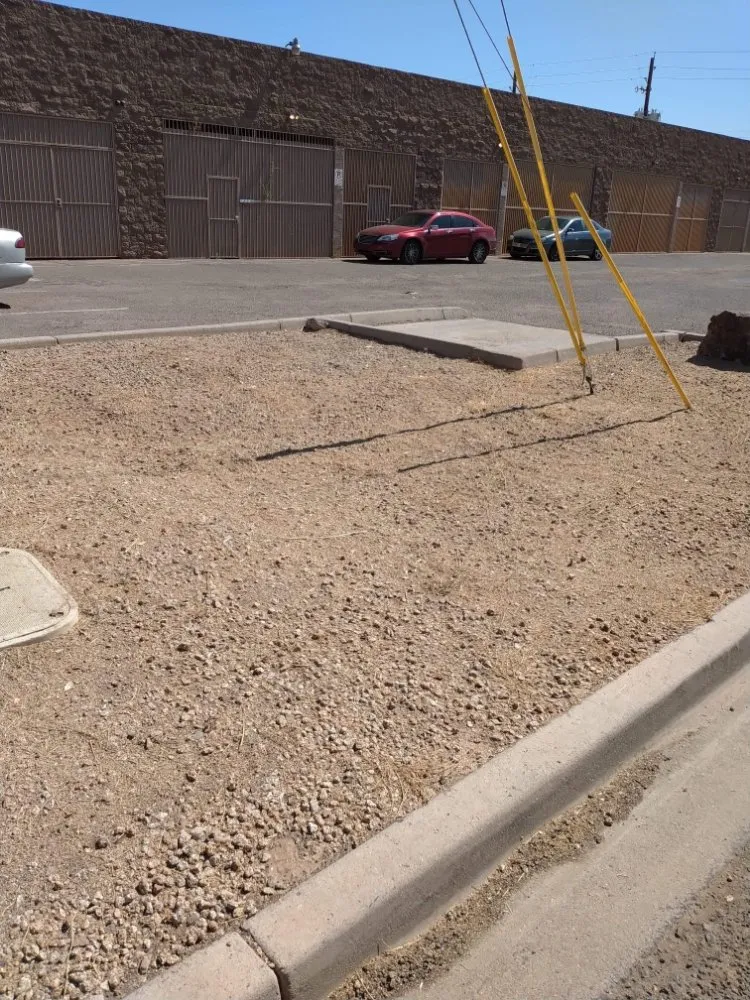 Reliable outdoor landscaping with custom design in Mesa, AZ by Catalyna & Lily Landscapes