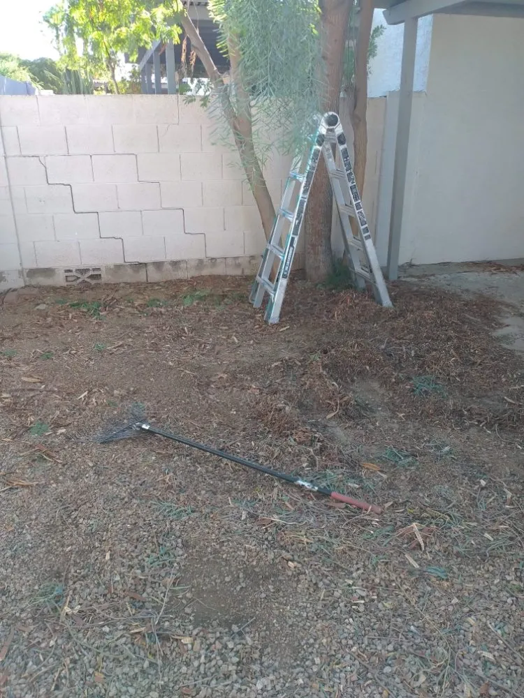 Expert yard maintenance in Mesa, AZ - Catalyna & Lily Landscapes