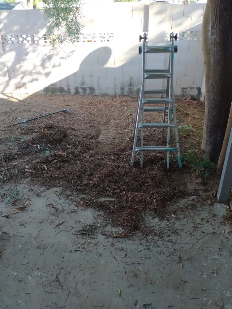 Local landscape design for outdoor upgrades in Mesa, AZ by Catalyna & Lily Landscapes