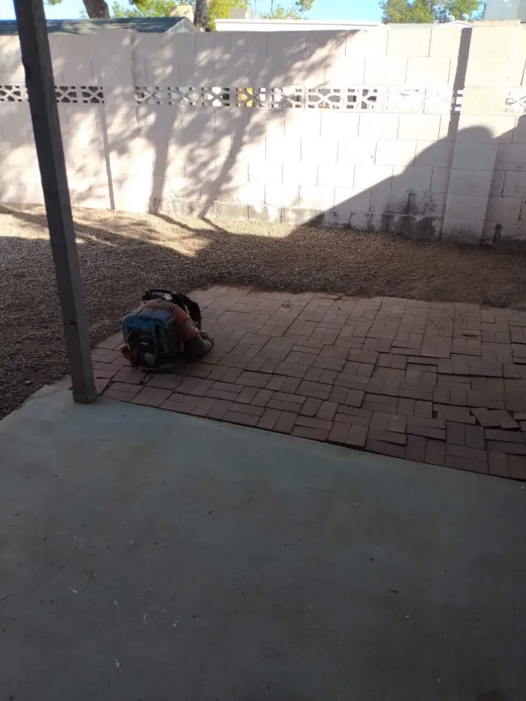 Top-rated lawn care service in Mesa, AZ by Catalyna & Lily Landscapes