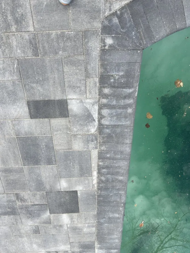 Expert yard cleanup service in Centennial, CO by Catalyst Landscaping