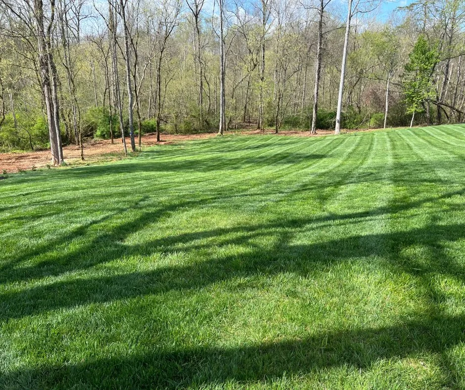 Trusted yard maintenance in Hickory, NC - Catawba Outdoor Works