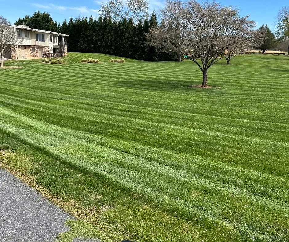 Professional lawn care service near you in Hickory, NC by Catawba Outdoor Works