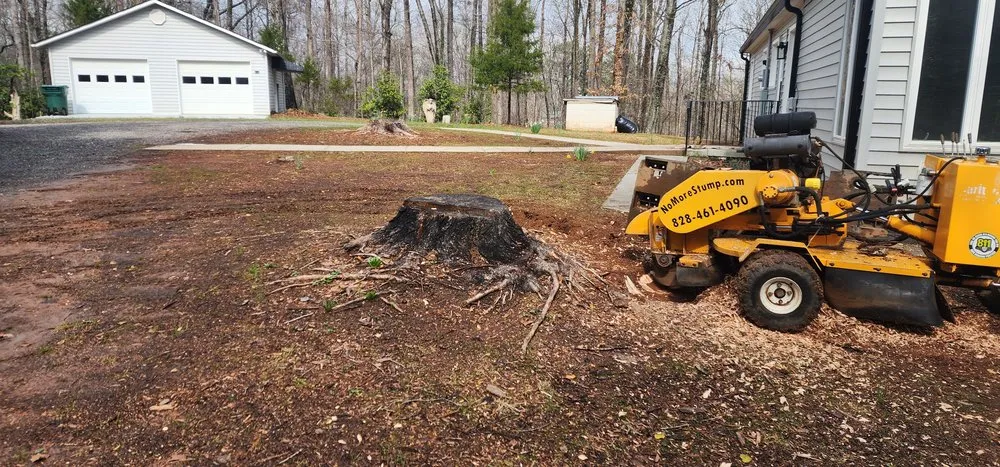 Reliable landscape design in Newton, NC by Catawba Stump Grinding