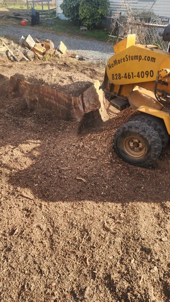 Reliable landscape design experts serving Newton, NC - Catawba Stump Grinding