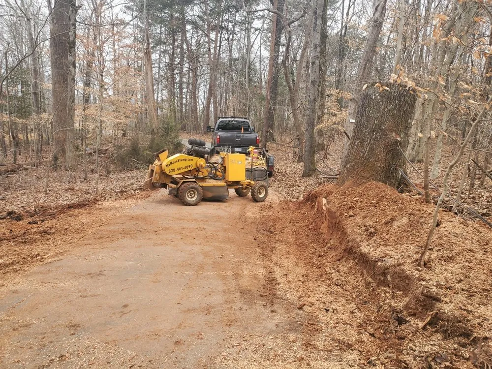 Expert landscaping services in Newton, NC by Catawba Stump Grinding