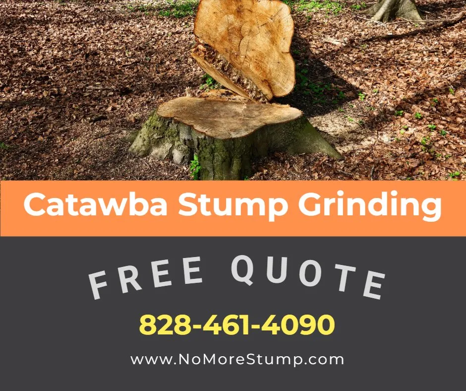 Professional lawn care service for outdoor upgrades across Newton, NC - Catawba Stump Grinding