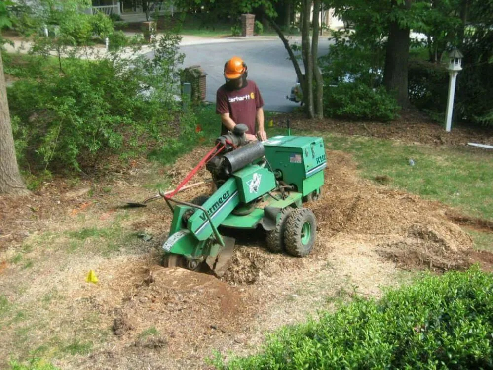 Expert garden landscaping experts serving Newton, NC - Catawba Stump Grinding