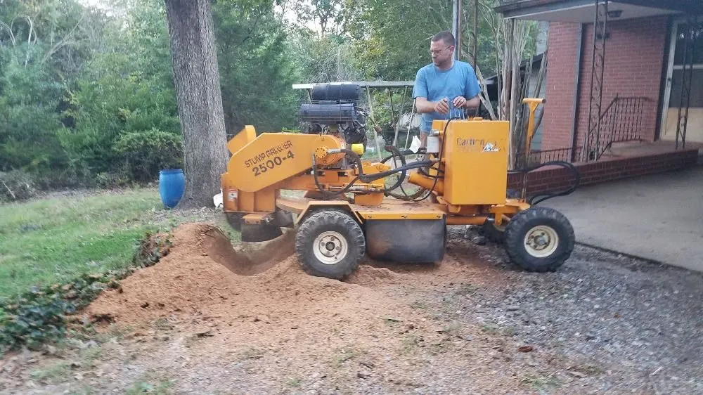 Expert landscaping services for residential properties in Newton, NC by Catawba Stump Grinding