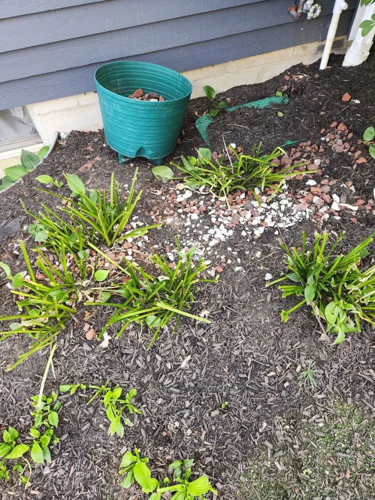 Expert lawn mowing service near you across Grove City, OH - Catena Cutz Landscaping