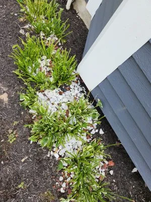 Catena Cutz Landscaping Logo