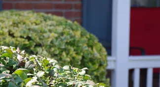 Expert landscape design near you across Smoketown, PA - Caterbone Property Services LLP