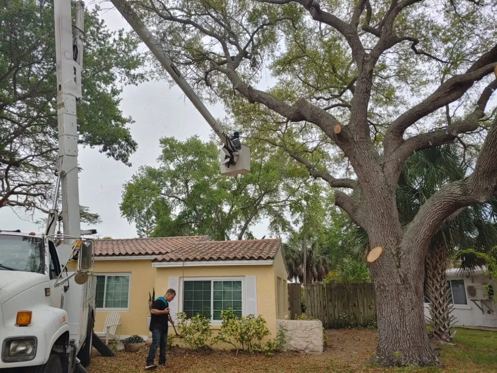 Custom landscape installation with custom design across Largo, FL - Catergory 5 Tree Service