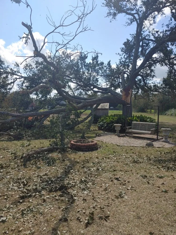 Custom lawn mowing service experts serving Largo, FL - Catergory 5 Tree Service