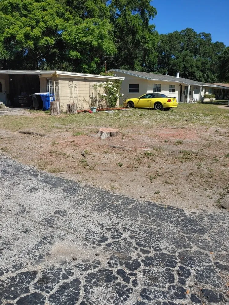 Custom residential landscaping experts serving Largo, FL - Catergory 5 Tree Service