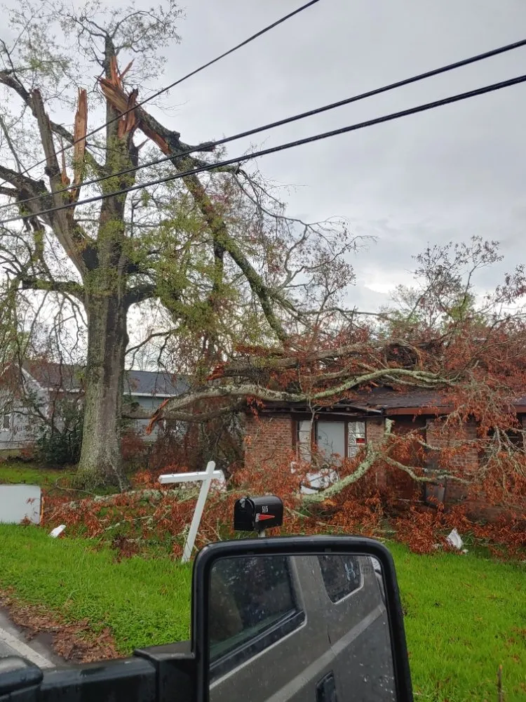 Affordable landscape design for homes in Largo, FL by Catergory 5 Tree Service