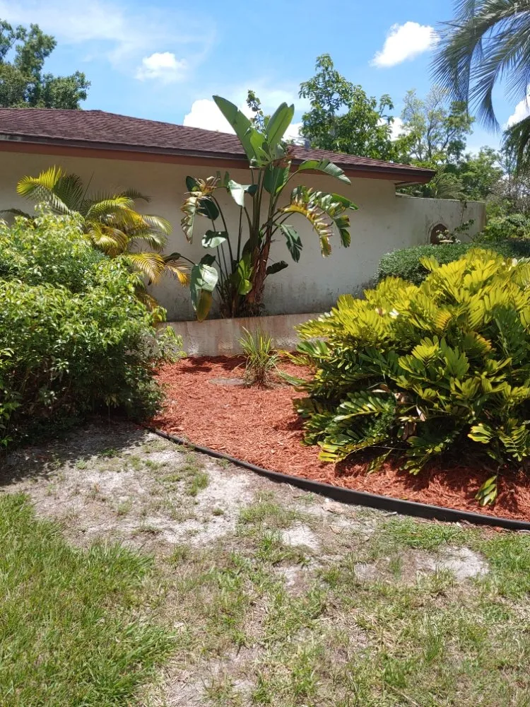 Trusted garden landscaping for homes across Largo, FL - Catergory 5 Tree Service
