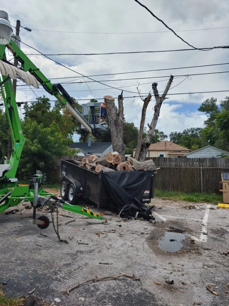 Professional yard maintenance for homes across Largo, FL - Catergory 5 Tree Service