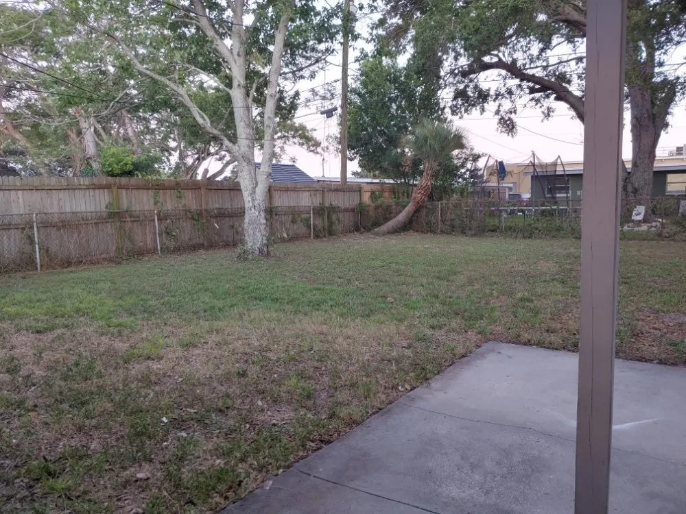 Custom landscape installation experts serving Largo, FL - Catergory 5 Tree Service