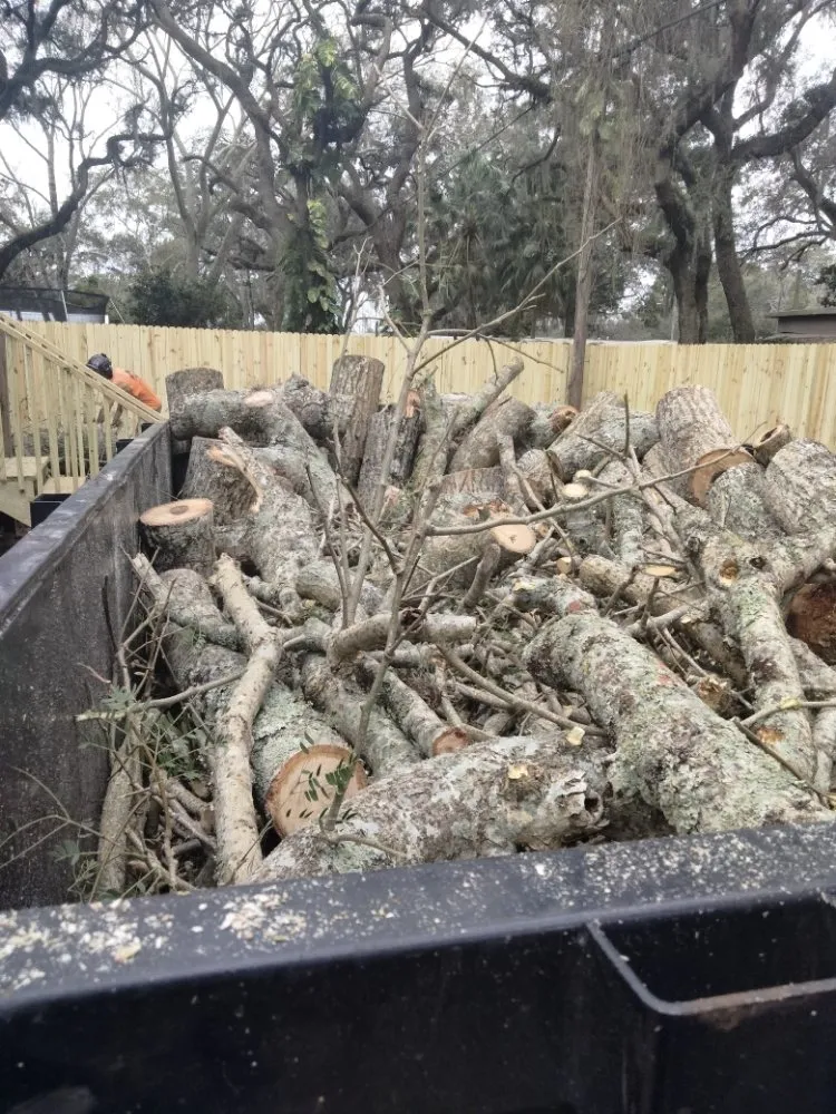 Reliable landscaping services for outdoor upgrades in Largo, FL by Catergory 5 Tree Service