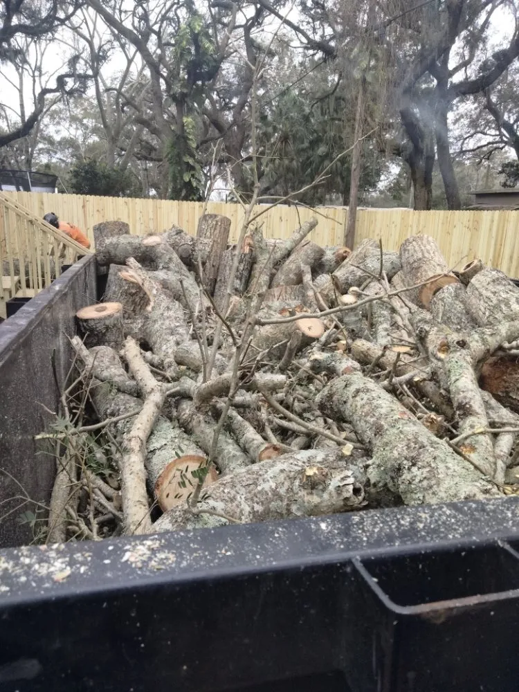 Top-rated yard cleanup service in Largo, FL by Catergory 5 Tree Service