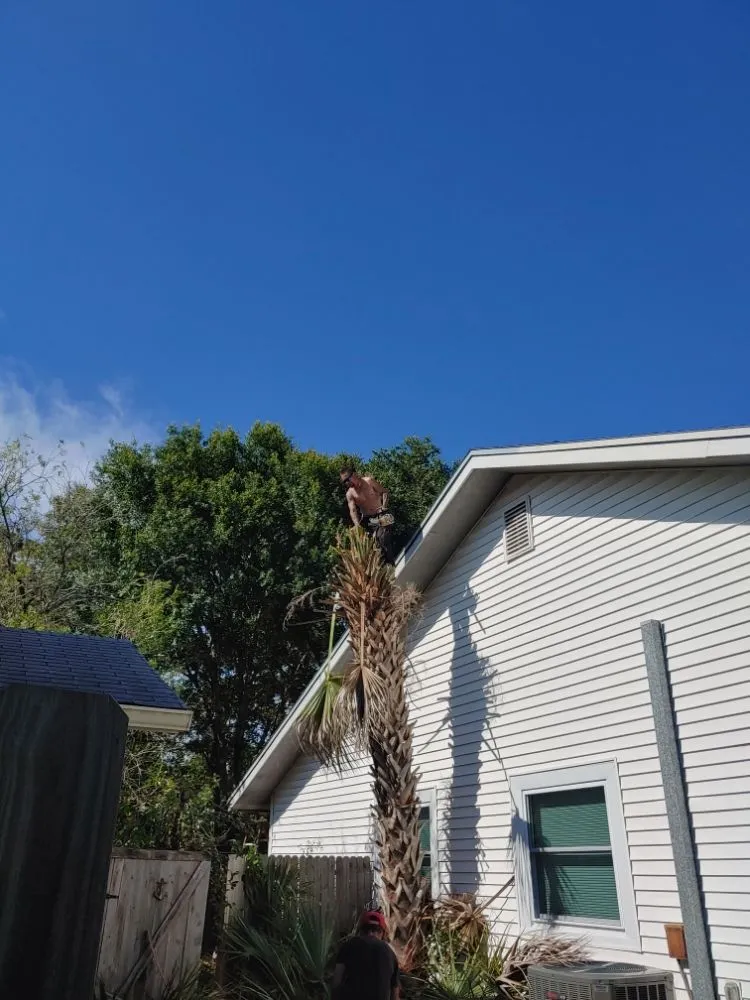 Reliable landscape installation for outdoor upgrades across Largo, FL - Catergory 5 Tree Service