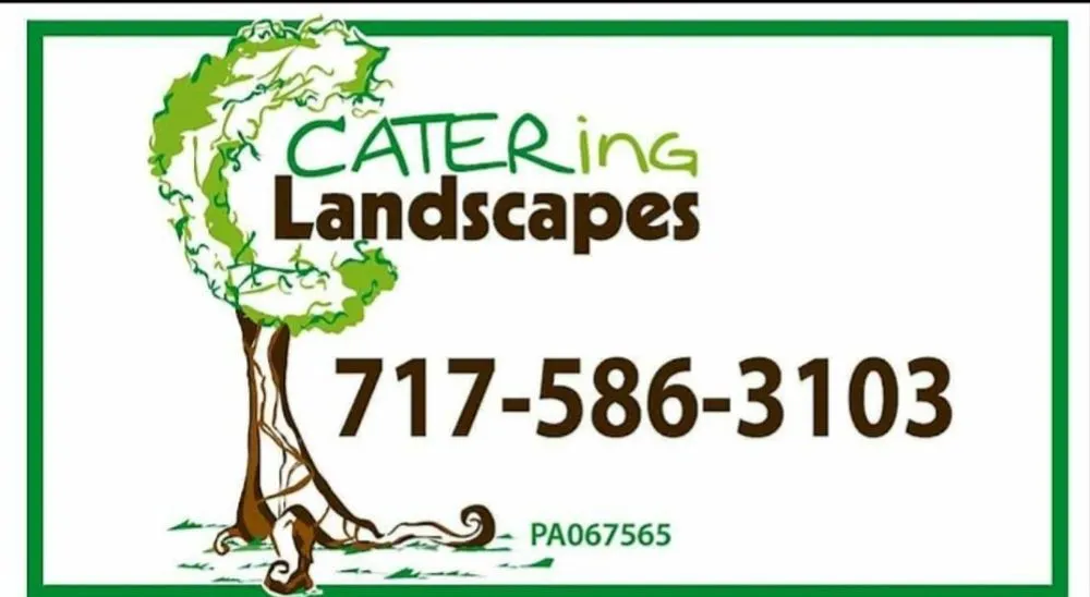 Top-rated outdoor landscaping experts serving Glenville, PA - Catering Landscapes