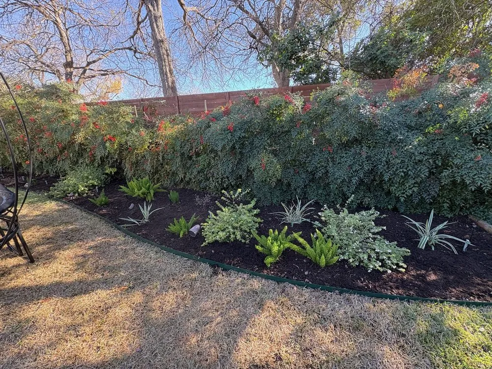 Expert residential landscaping in Austin, TX - Catheys Lawn Care