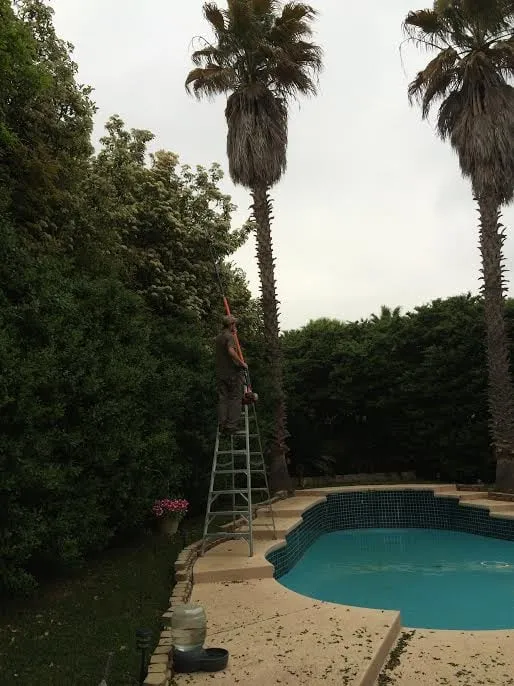 Affordable landscaping services experts serving Austin, TX - Catheys Lawn Care